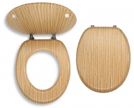 Toilet seat