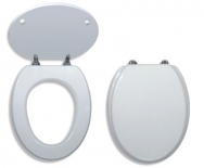 Toilet seat