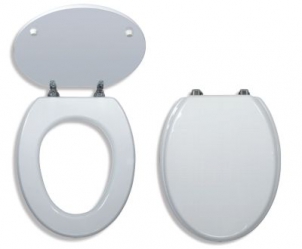 Toilet seat