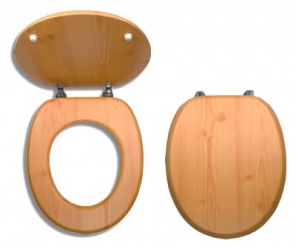 Toilet seat