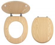 Toilet seat