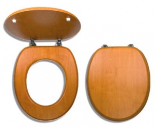 Toilet seat 