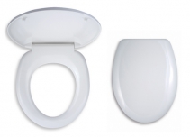 Toilet seat