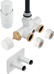 Thermostatic set valve with pre-setting  and thermostatic head and immersion tube